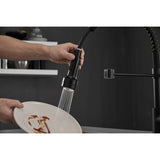 Pull Down Spray Swivel Kitchen Faucet w/LED 2 Spout