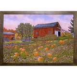 Pumpkin Patch-THEWIN9572 Print 18.5"x27.5" by Thelma Winter