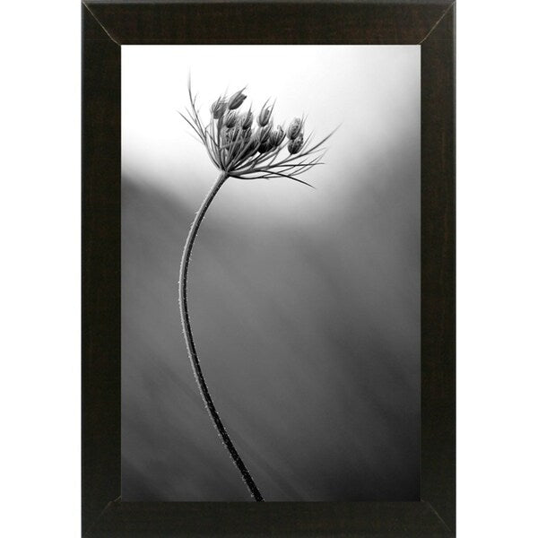 Queen Anne's B&W-THOHAN127136 Print 18.75"x12.5" by Thomas Haney