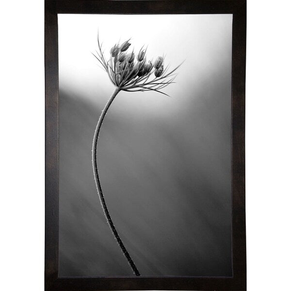 Queen Anne's B&W-THOHAN127136 Print 18.75"x12.5" by Thomas Haney