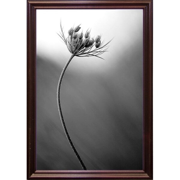 Queen Anne's B&W-THOHAN127136 Print 18.75"x12.5" by Thomas Haney