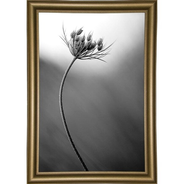 Queen Anne's B&W-THOHAN127136 Print 18.75"x12.5" by Thomas Haney