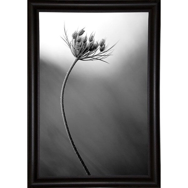 Queen Anne's B&W-THOHAN127136 Print 18.75"x12.5" by Thomas Haney