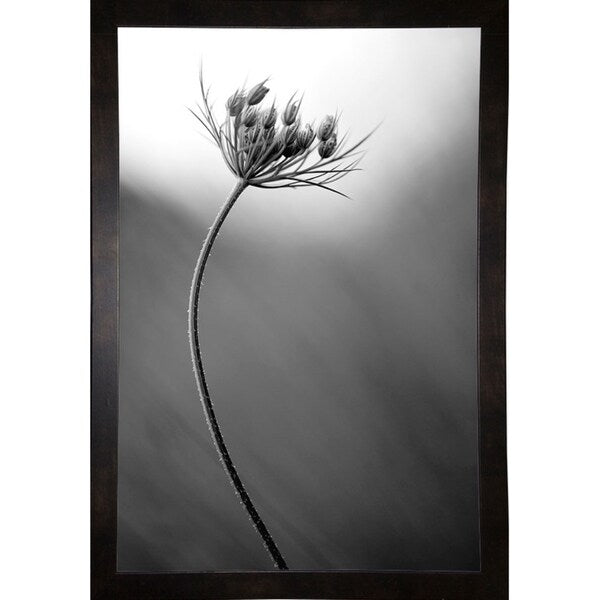 Queen Anne's B&W-THOHAN127136 Print 18.75"x12.5" by Thomas Haney
