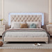 Queen OR Full Size Velvet Upholstered Bed Frame with LED Lights