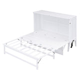 Queen Size Murphy Bed