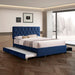 Queen Size Trundle Pull Out Drawers Upholstered Bed Morden Comtempapary Design No Box Spring Needed