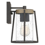 Quoizel Brockton Rustic Black Small 1-light Outdoor Wall Lantern