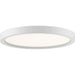 Quoizel Outskirt Aluminum 15-watt Flush Mount