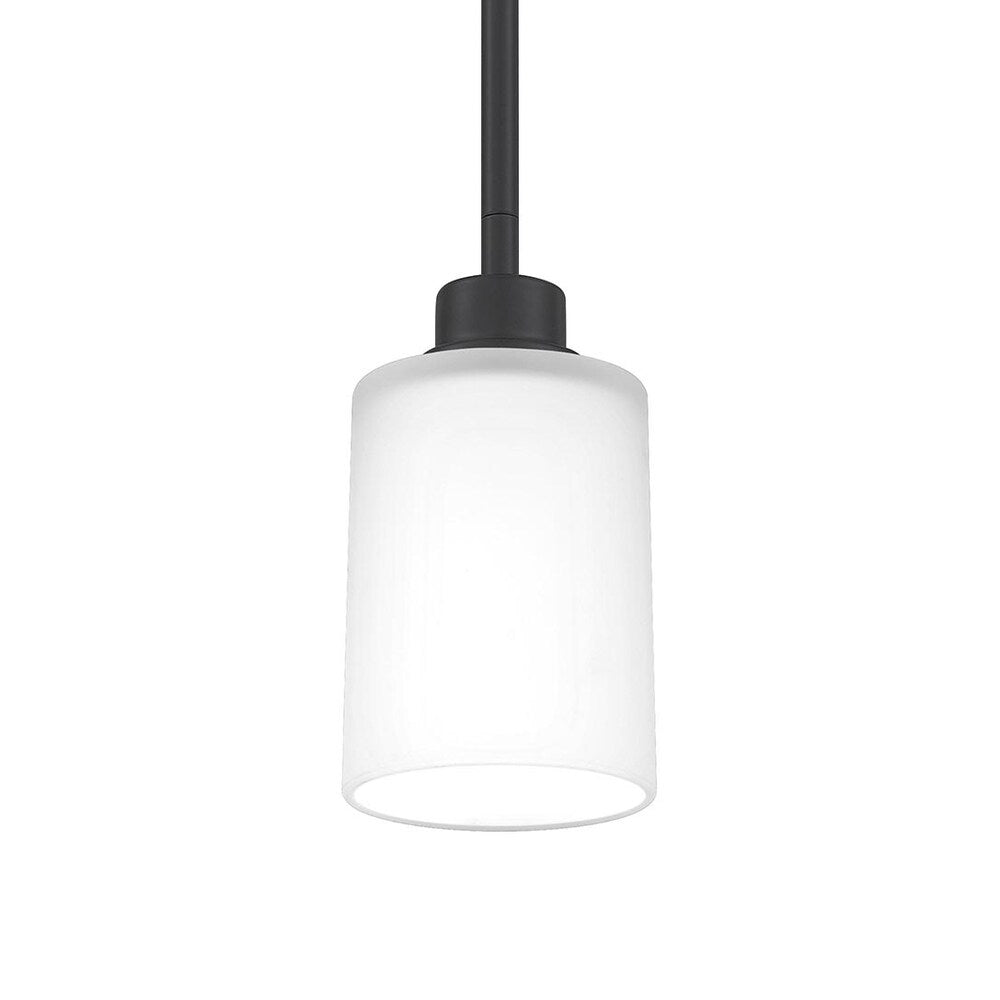 Quoizel Pruitt White Painted Etched Glass 1-light Mini Pendant