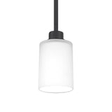 Quoizel Pruitt White Painted Etched Glass 1-light Mini Pendant