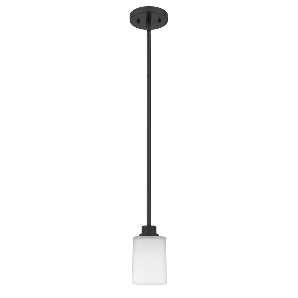 Quoizel Pruitt White Painted Etched Glass 1-light Mini Pendant