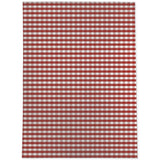 RED GINGHAM DREAM Outdoor Rug By Kavka Designs