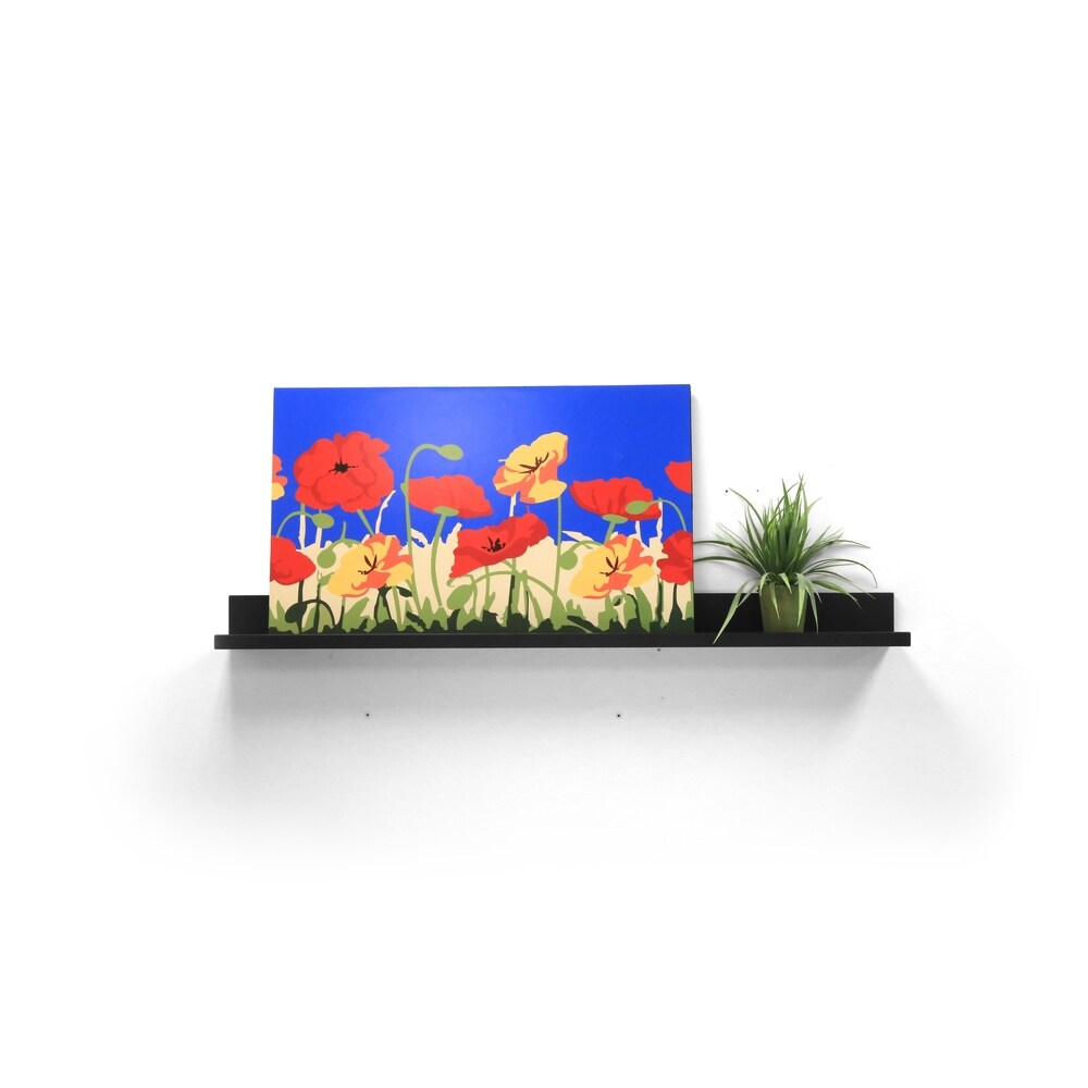 InPlace Black Picture Ledge - 47.24 inches wide x 4.5 inches deep