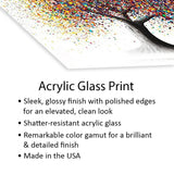 Rainbow Soul Tree Print On Acrylic Glass by Ashvin Harrison