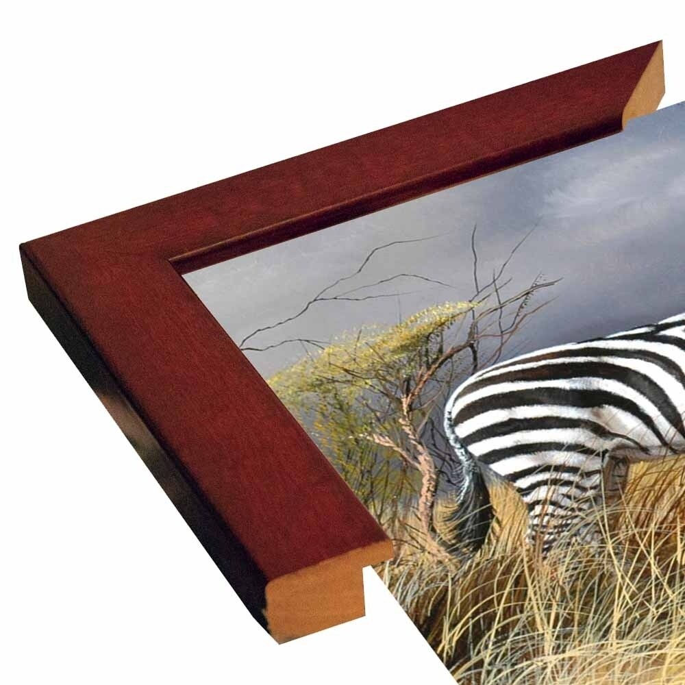 Rainy Season-TRESWA129825 Framed Print 18"x27.5" by Trevor V. Swanson
