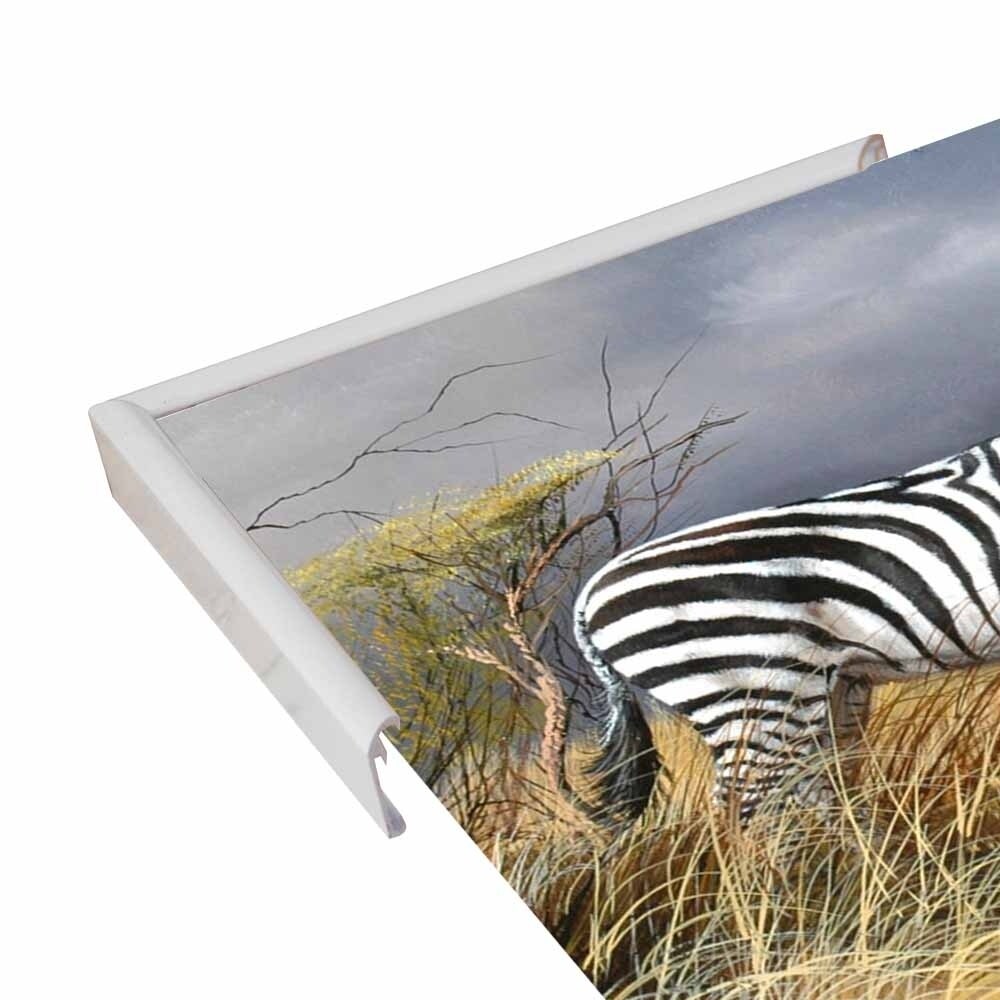 Rainy Season-TRESWA129825 Framed Print 18"x27.5" by Trevor V. Swanson