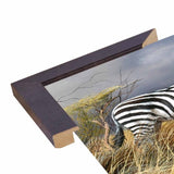 Rainy Season-TRESWA129825 Framed Print 18"x27.5" by Trevor V. Swanson