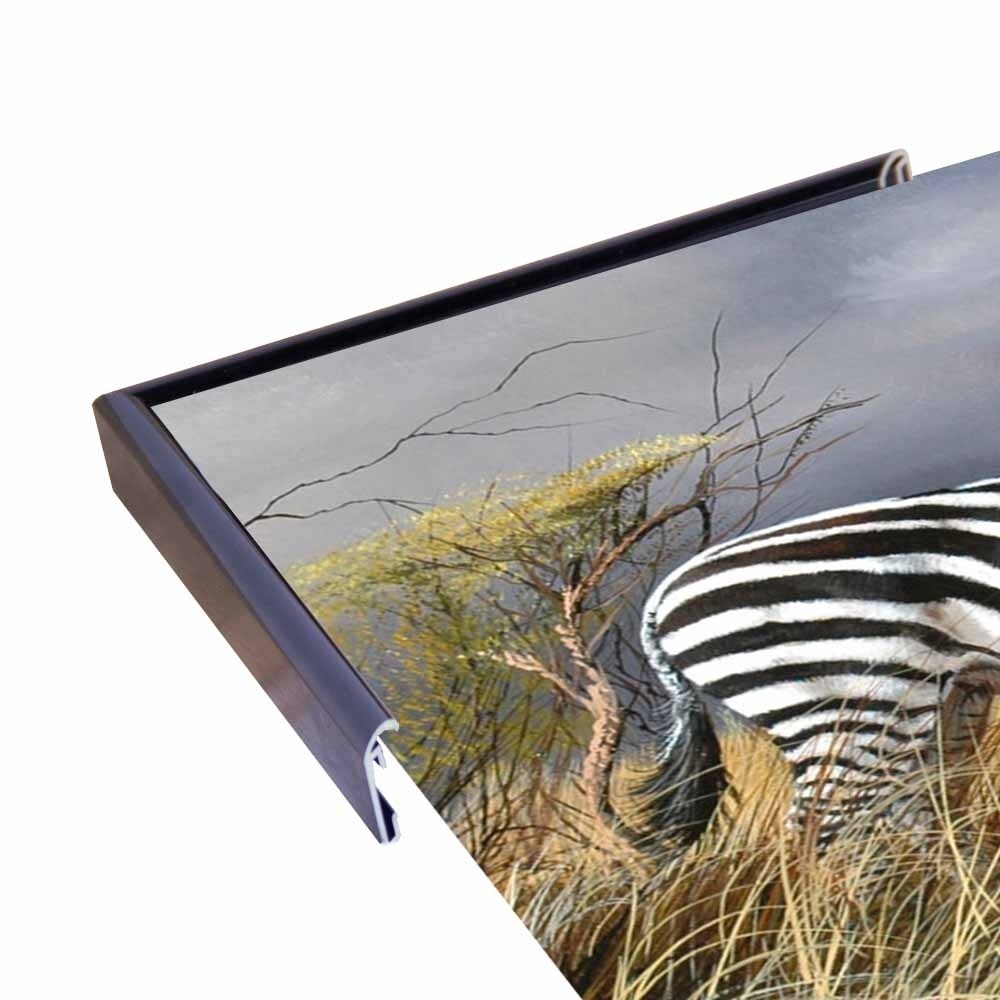 Rainy Season-TRESWA129825 Framed Print 18"x27.5" by Trevor V. Swanson