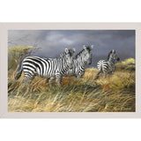 Rainy Season-TRESWA129825 Framed Print 18"x27.5" by Trevor V. Swanson