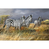 Rainy Season-TRESWA129825 Framed Print 18"x27.5" by Trevor V. Swanson