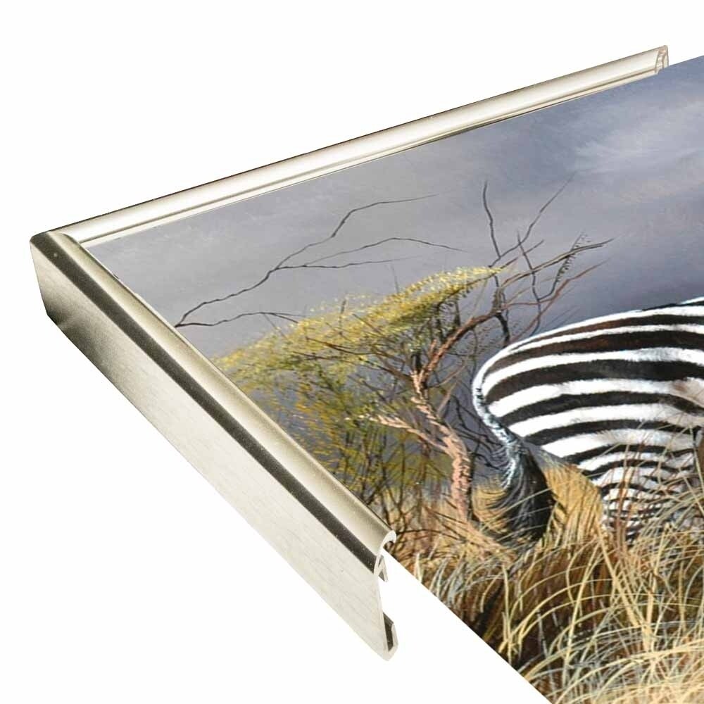 Rainy Season-TRESWA129825 Framed Print 18"x27.5" by Trevor V. Swanson