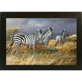 Rainy Season-TRESWA129825 Framed Print 18"x27.5" by Trevor V. Swanson