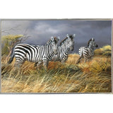 Rainy Season-TRESWA129825 Framed Print 18"x27.5" by Trevor V. Swanson