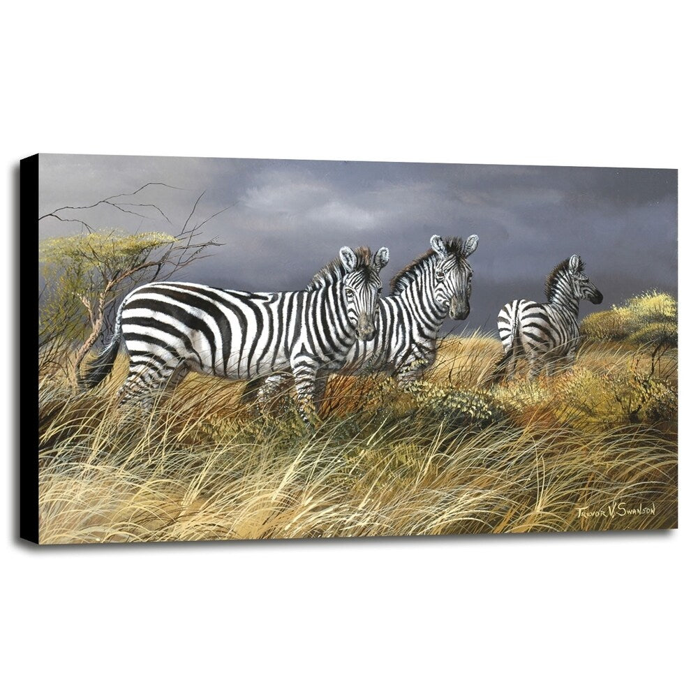 Rainy Season-TRESWA129825 Framed Print 18"x27.5" by Trevor V. Swanson