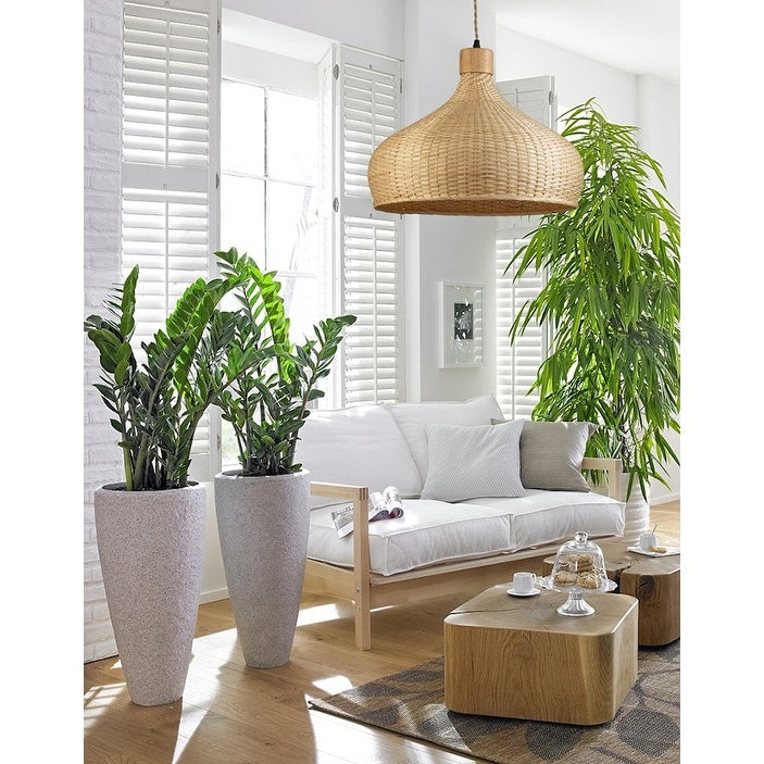 Rasa Pendant Light - 13" x 17.7"