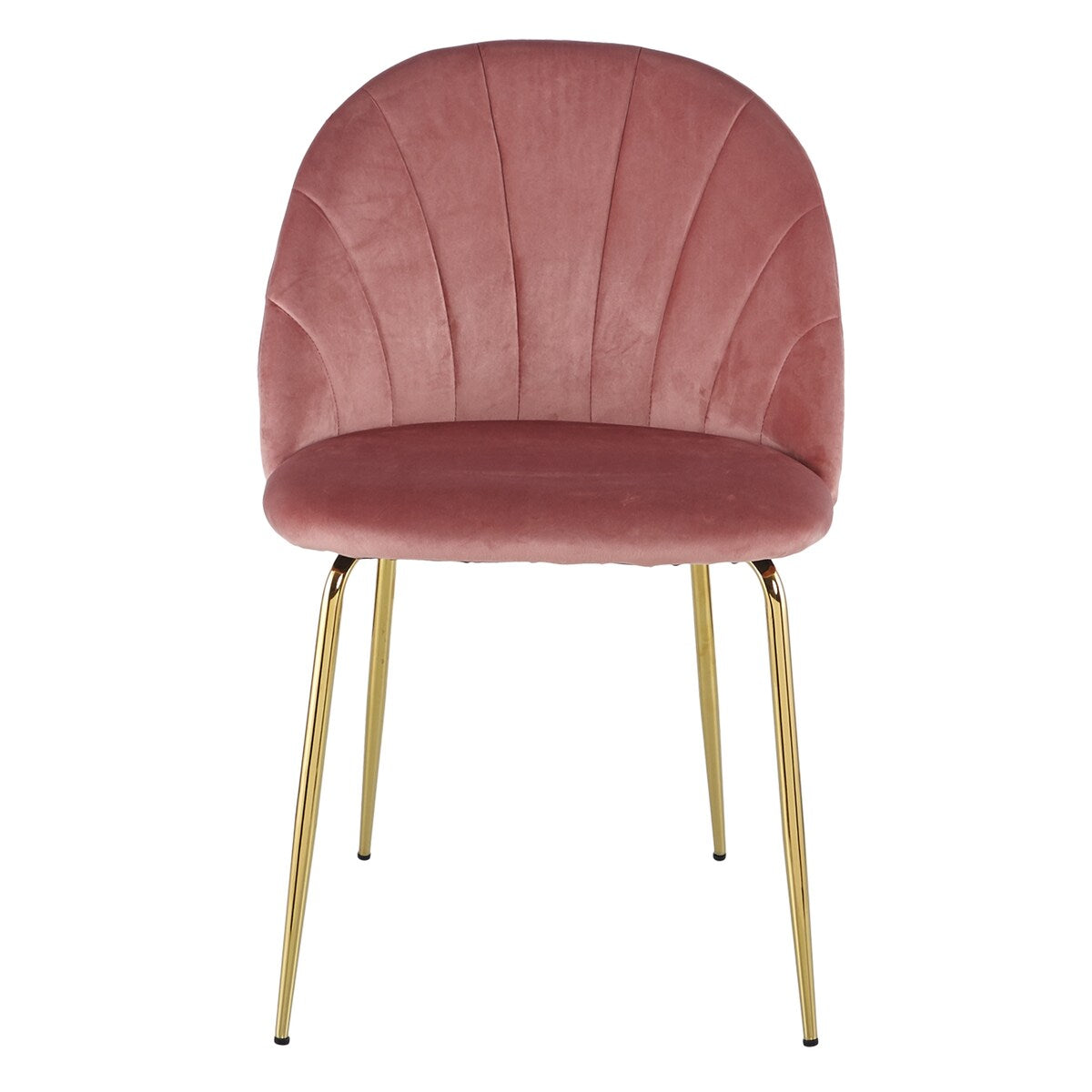 Rasoo Modern Luxury Dining Chair, Side Chair with Golden Legs and Velvet Cushion, Set of 2
