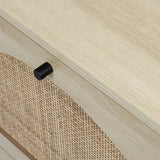 Rattan 2-Drawer Shoe Rack Cabinet,Shoe Storage w/Natural Rattan Flip Doors,Wall Mounted & Free-standing