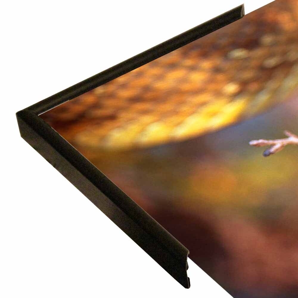 Rattle-THOHAN127137 Print 12"x18" by Thomas Haney