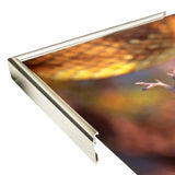 Rattle-THOHAN127137 Print 12"x18" by Thomas Haney