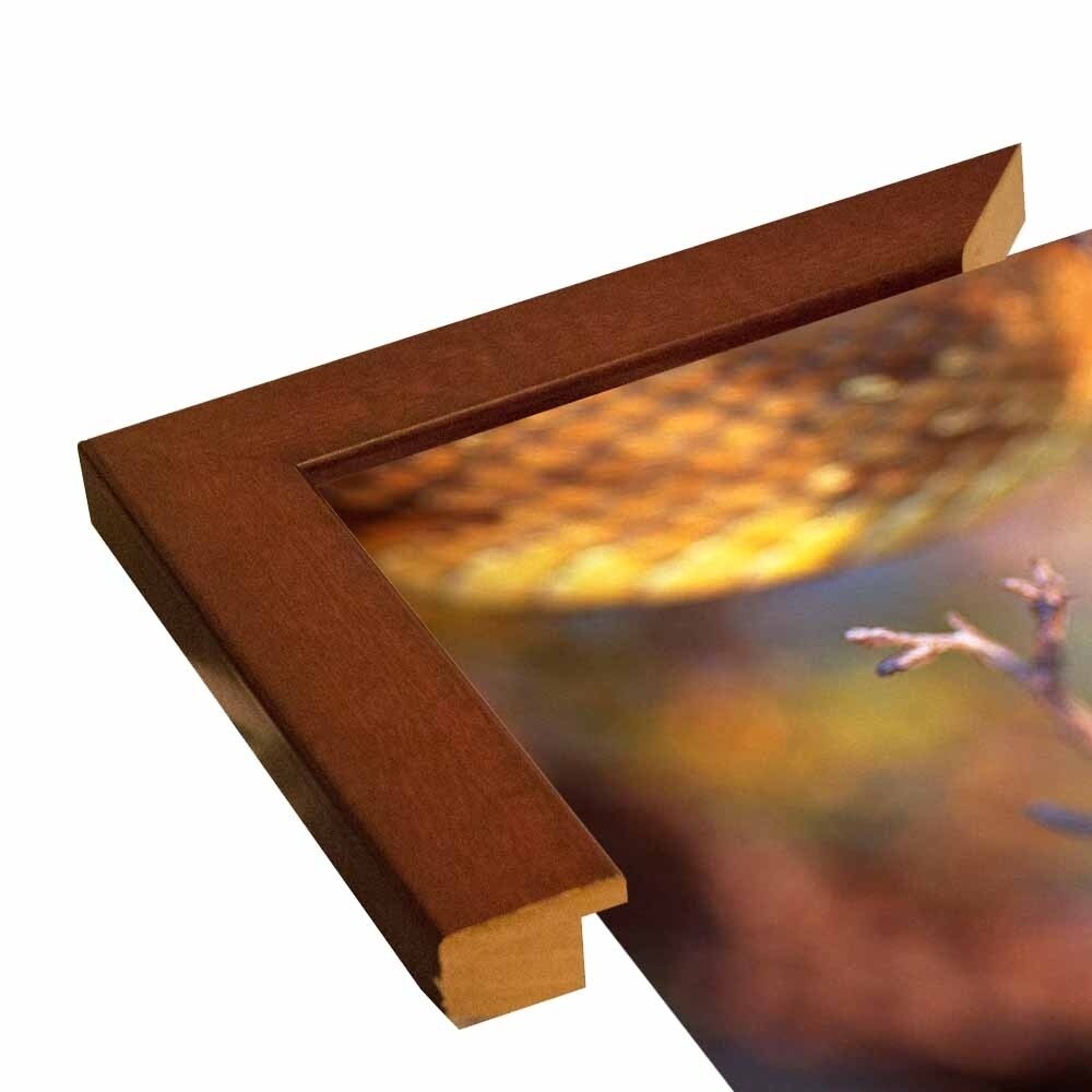 Rattle-THOHAN127137 Print 12"x18" by Thomas Haney