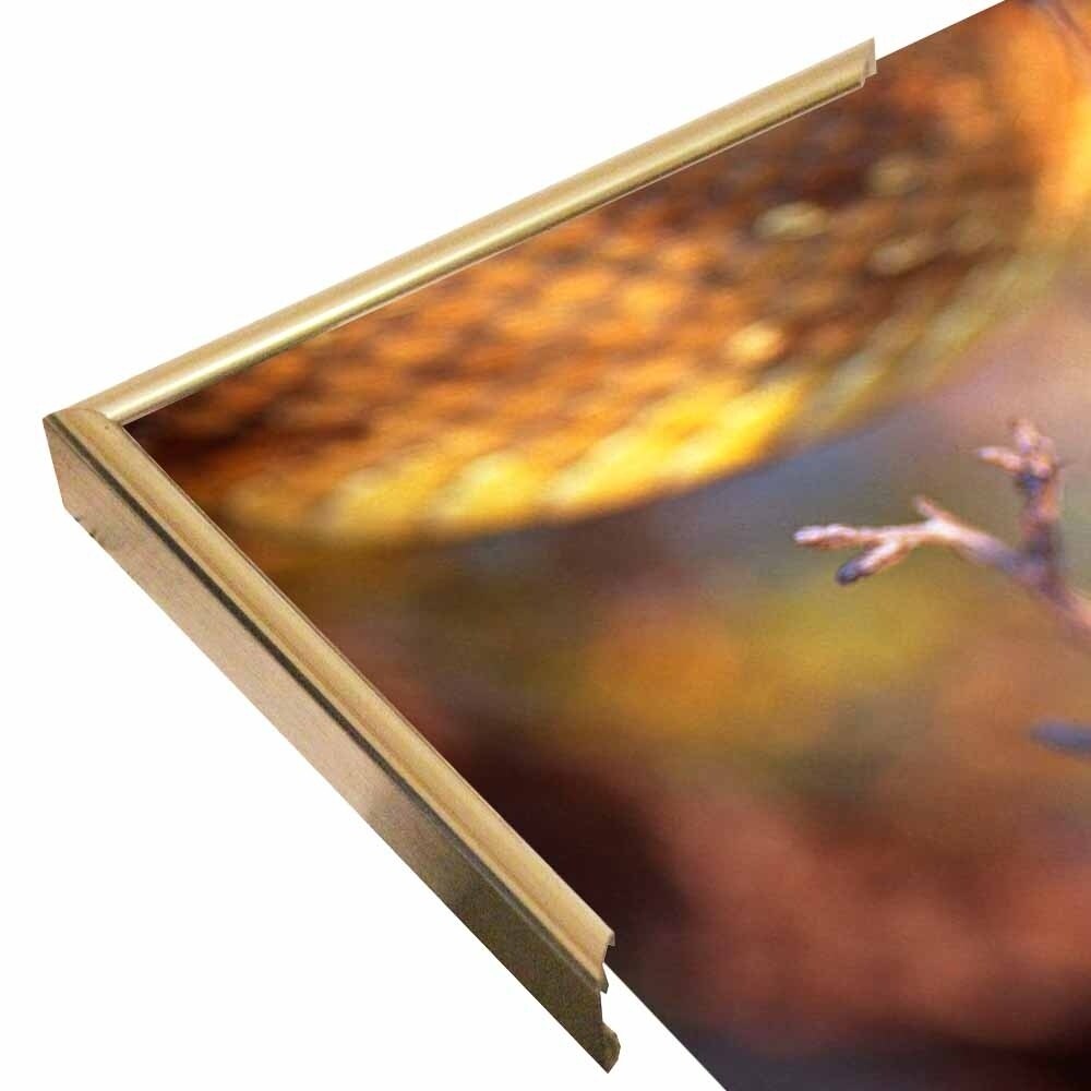 Rattle-THOHAN127137 Print 12"x18" by Thomas Haney