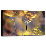 Rattle-THOHAN127137 Print 12"x18" by Thomas Haney
