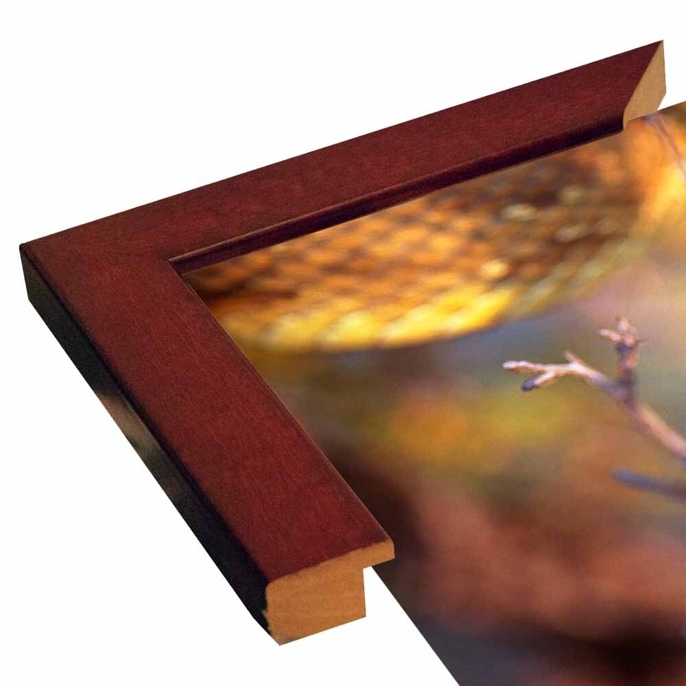 Rattle-THOHAN127137 Print 12"x18" by Thomas Haney