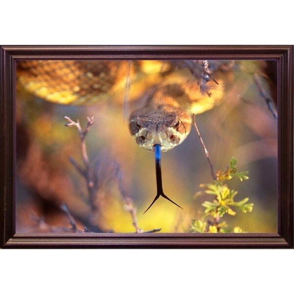 Rattle-THOHAN127137 Print 12"x18" by Thomas Haney