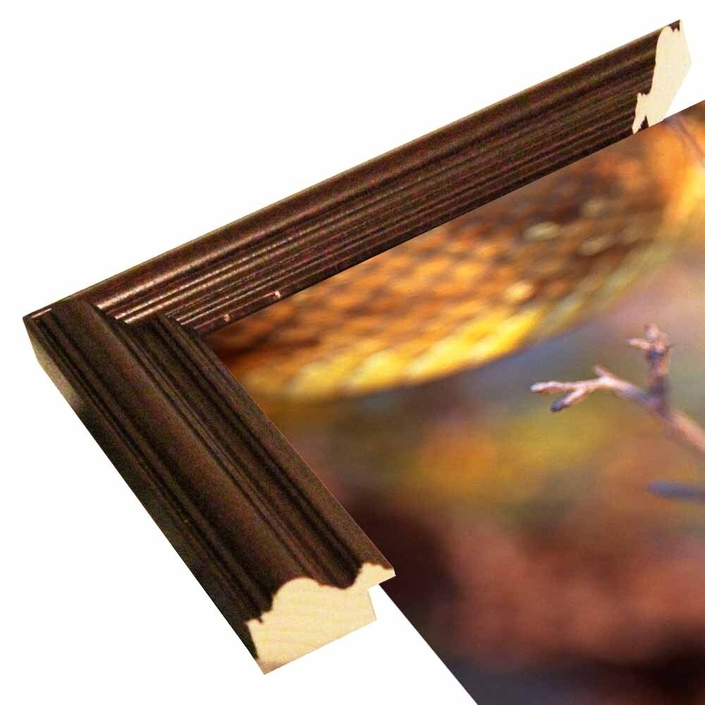 Rattle-THOHAN127137 Print 12"x18" by Thomas Haney