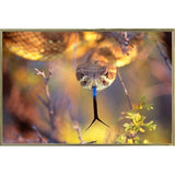 Rattle-THOHAN127137 Print 12"x18" by Thomas Haney