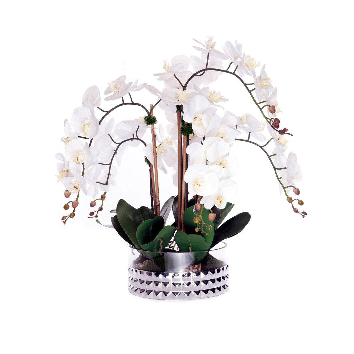 Real Touch Phalaenopsis Orchids /Moss/pebbles in Glass Silver Bowl