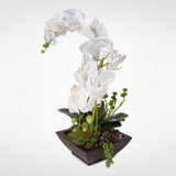 Real Touch White Phalaenopsis Silk Orchids with Succulents in a Modern Metal Container