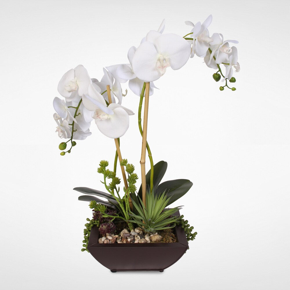 Real Touch White Phalaenopsis Silk Orchids with Succulents in a Modern Metal Container