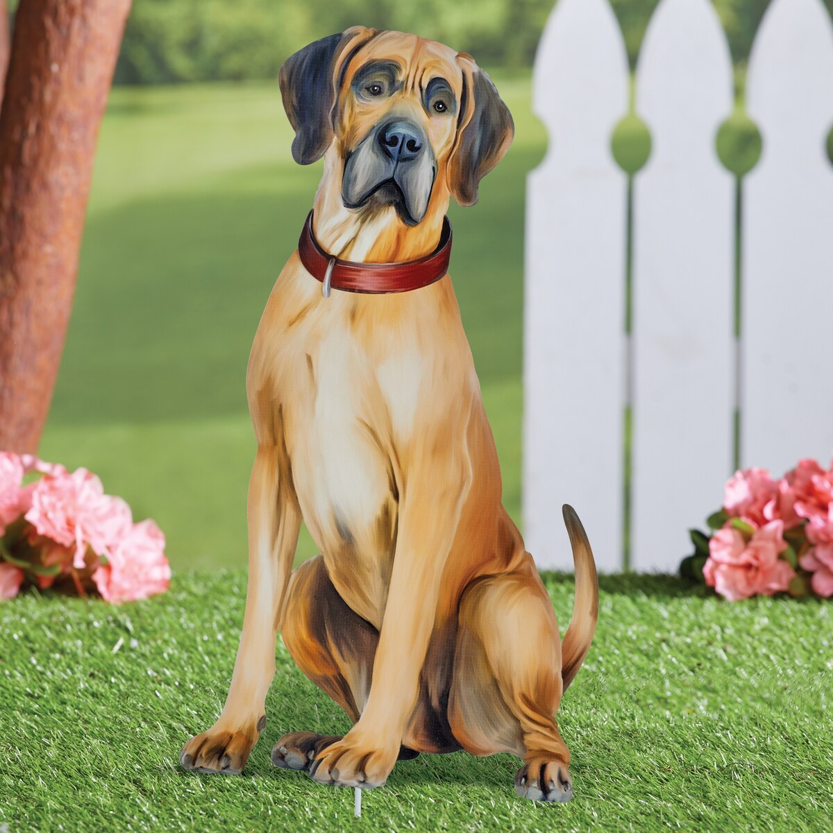 Realistic Great Dane Outdoor Garden Stake - 20.200 x 14.750 x 1.750
