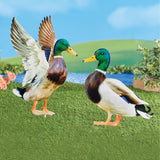 Realistic Mallard Ducks Outdoor Garden Stake Set - 17.000 x 12.380 x 2.750