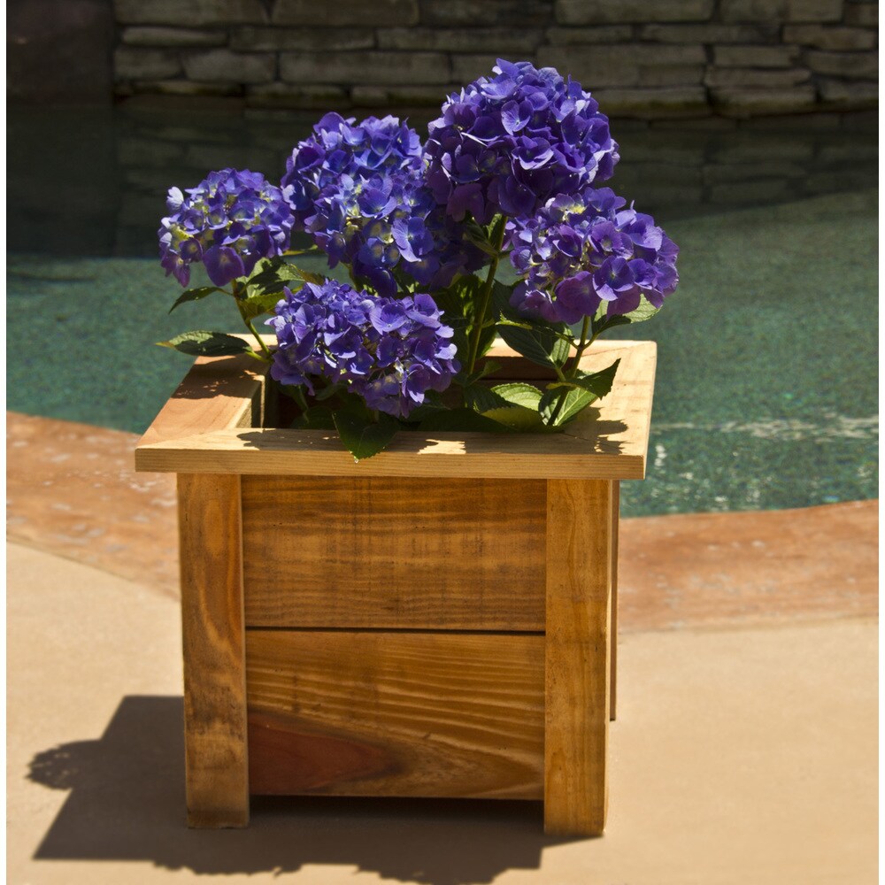 Redwood Planter