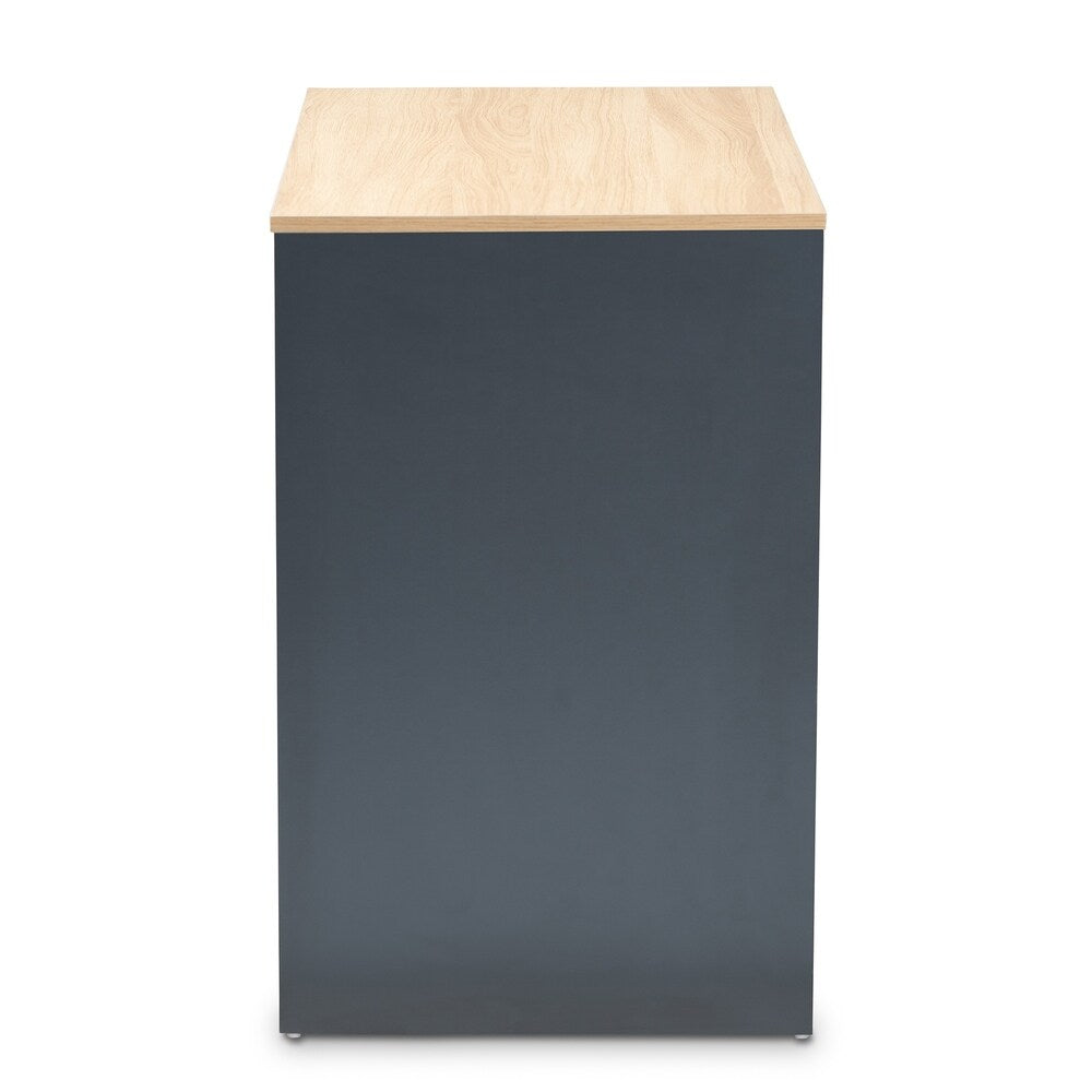 Reed Mid-Century Modern 2-Drawer Computer Desk