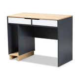 Reed Mid-Century Modern 2-Drawer Computer Desk