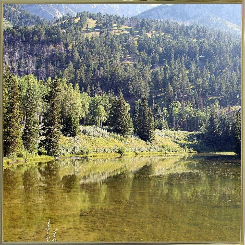 Reflections I-WILWAY109789 Framed Print 24"x24" by Willow Way Studios, Inc.